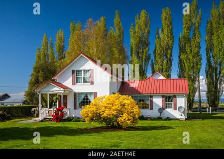 La vallée de la rivière Skagit une maison de campagne près de Mount Vernon, Washington, USA. Banque D'Images