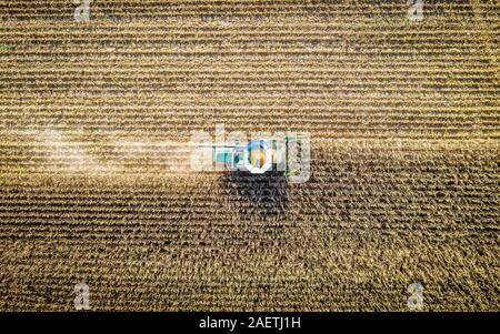 Un agriculteur utilise une moissonneuse-batteuse pour récolter le maïs , Centreville, Maryland. Banque D'Images