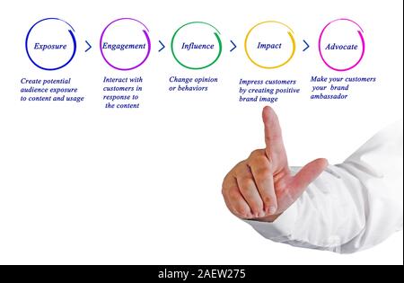 Diagramme du processus de développement de médicaments Banque D'Images