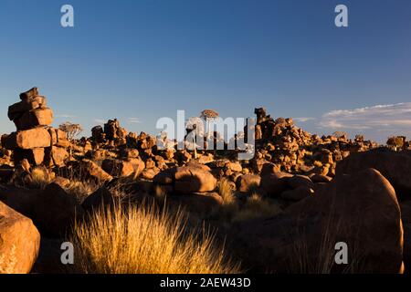 Rocky Ground à 'Gaiant Play Ground', quiver Trees, lueur du soir, Aloe dichotoma, Keetmanshoop, région de Karas, Namibie, Afrique australe, Afrique Banque D'Images