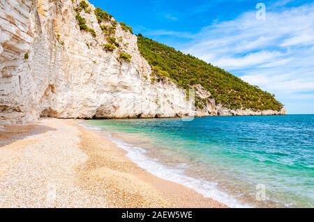 Belle plage de galets entourée de hautes falaises rocheuses de calcaire blanc massif érodé par les vagues et le vent de la mer Adriatique. Pins d'Alep vert croissant sur les th Banque D'Images