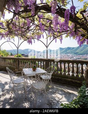 Superbe véranda couverte par glycine colorés sur une belle journée de printemps Banque D'Images