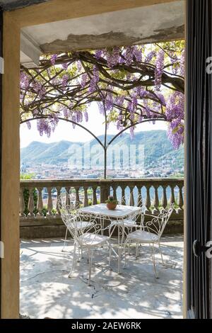 Superbe véranda couverte par glycine colorés sur une belle journée de printemps Banque D'Images