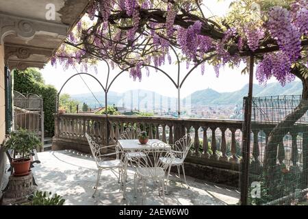 Superbe véranda couverte par glycine colorés sur une belle journée de printemps Banque D'Images