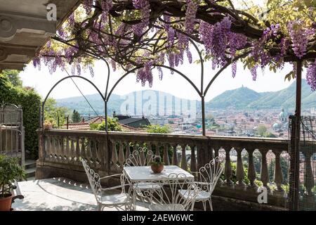 Superbe véranda couverte par glycine colorés sur une belle journée de printemps Banque D'Images