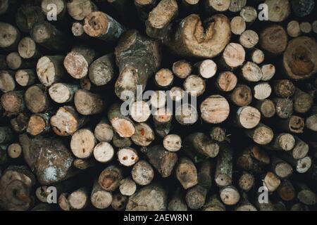 Bois de chauffage coupé à sec pour l'hiver. Banque D'Images