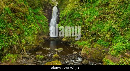 Les recoins Falls près de Carnlough en Irlande du Nord. Banque D'Images