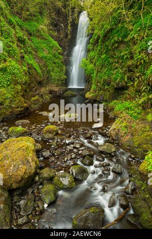 Les recoins Falls près de Carnlough en Irlande du Nord. Banque D'Images