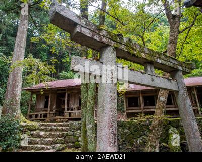 Torii et marches de pierre, rangée d'auxiliaire à setsumatsusha Meisekiji sanctuaires shintô, au temple, Temple de 43 88 pèlerinage de Shikoku, Ehime, Shikoku, Banque D'Images