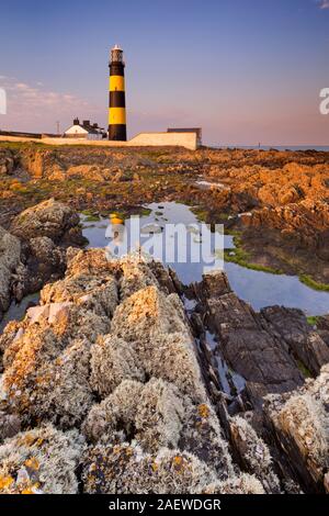 La St. John's Point Lighthouse en Irlande du Nord, photographié au coucher du soleil. Banque D'Images