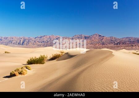 La télévision Mesquite Sand Dunes in Death Valley National Park, California, USA. Banque D'Images