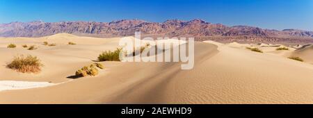 La télévision Mesquite Sand Dunes in Death Valley National Park, California, USA. Banque D'Images