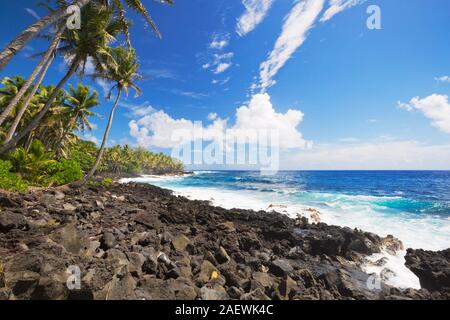 Palmiers et de roches de lave littoral sur la côte sud-est de la Puna, Big Island Hawaii, USA. Banque D'Images