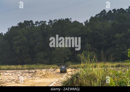 Séjour touristique en jeep navigation dans la forêt de la réserve nationale de Jim Corbett Banque D'Images