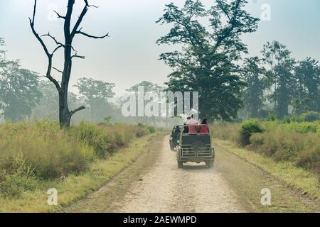 Séjour touristique en jeep navigation dans la forêt de la réserve nationale de Jim Corbett Banque D'Images