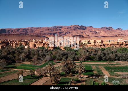 Oasis autour de la rivière La rivière Todra Tinghir, Maroc dans Banque D'Images