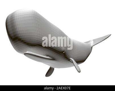 Baleine blanche polygonale isolé sur un fond blanc. 3D. Vector illustration. Illustration de Vecteur