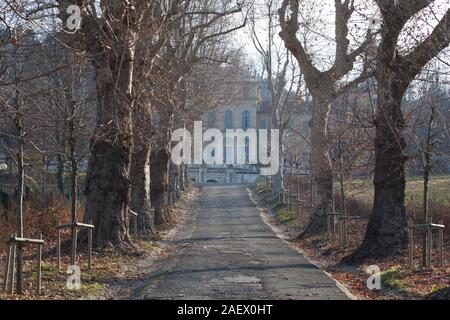 Villa della Regina allée d'entrée avec des arbres. Banque D'Images