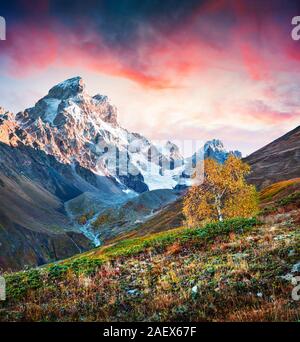 Matin d'automne avec Mt. Ushba. Lever de soleil spectaculaire dans les montagnes du Caucase, Upper Svaneti, la Géorgie, l'Europe. Style artistique poste a traité phot Banque D'Images