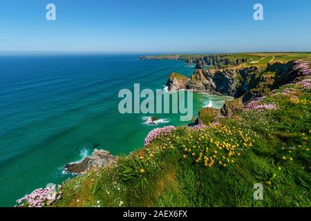 Bedruthan Steps dans le sud entre Cornwall et Newquay Padstow, National Trust, Angleterre, Royaume-Uni, Grande Bretagne Banque D'Images