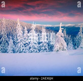 Scène d'hiver coloré dans les montagnes. Quelques minutes avant le lever du soleil. Ciel rouge rejette des éclairs de lumière sur la neige fraîche et les arbres. Banque D'Images