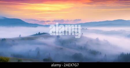 Scène d'été naturel dans la vallée de montagne. Matin brumeux dans les Carpates. L'Ukraine, l'Europe. Banque D'Images