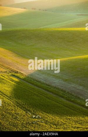 Lever du soleil d'hiver dans le parc national des South Downs, West Sussex, Angleterre. Banque D'Images