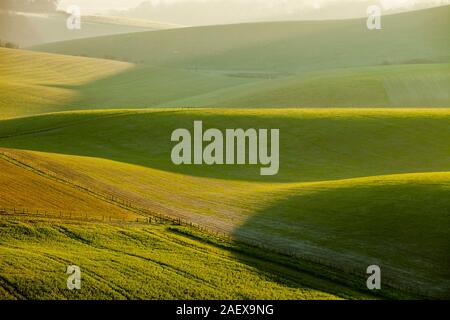 Lever du soleil d'hiver dans le parc national des South Downs, West Sussex, Angleterre. Banque D'Images