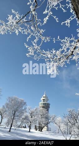 Décor de frozen rime sur les arbres à l'endroit pittoresque dans Sifangdingzi Ville Tonghua, nord-est de la Chine, la province de Jilin sur Décembre 7th, 2019. Banque D'Images