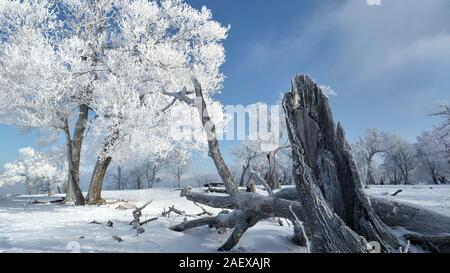 Décor de frozen rime sur les arbres à l'endroit pittoresque dans Sifangdingzi Ville Tonghua, nord-est de la Chine, la province de Jilin sur Décembre 7th, 2019. Banque D'Images