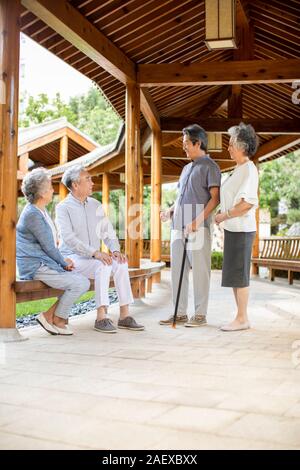 Senior friends talking in pavilion Banque D'Images