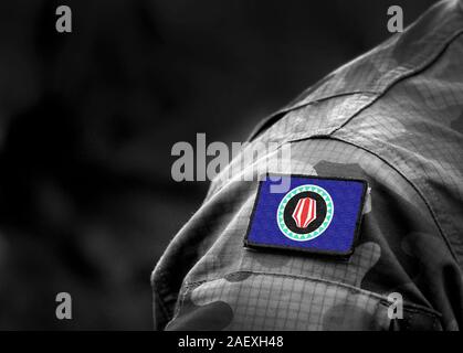 Pavillon de Bougainville d'uniforme militaire. 2019 Référendum sur l'indépendance de Bougainville. Collage. Banque D'Images