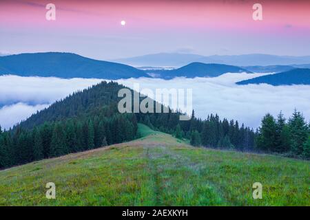 Tôt le matin dans l'été Carpates. Lisniv Ridge, l'Ukraine, l'Europe. Banque D'Images