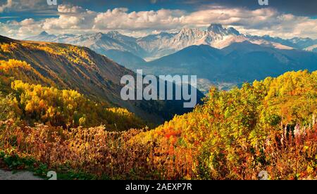 Paysage d'automne dans les montagnes du Caucase. Scène matinée ensoleillée avec vue Ushba sur l'arrière-plan. Mkheer, Svaneti, la Géorgie, l'Europe. Arti Banque D'Images