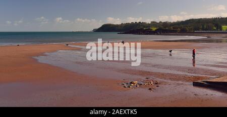 Marée basse à Broadsands beach. Banque D'Images