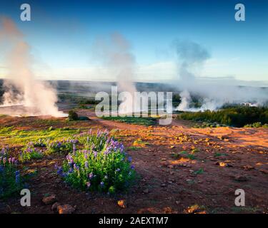 Éruption du Grand Geyser se trouve dans la vallée de Haukadalur sur les pentes du Laugarfjall hill. Le sud-ouest de l'Islande, l'Europe. Style artistique poste a traité Banque D'Images