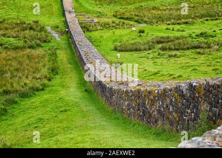 Mur d'Hadrien près de Fort romain de Housesteads le de en Angleterre Banque D'Images