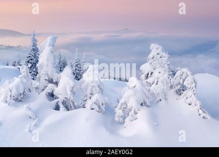 Lever du soleil d'hiver fantastique dans les montagnes brumeuses de sapin avec des arbres couverts de neige. Une scène colorée, Nouvelle Année heureuse célébration concept. Style artistique po Banque D'Images