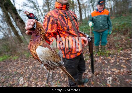 Utrecht, Pays-Bas - DEC 07, 2019 : Un chasseur montre un faisan mort qui n'a été tué par lui. Banque D'Images