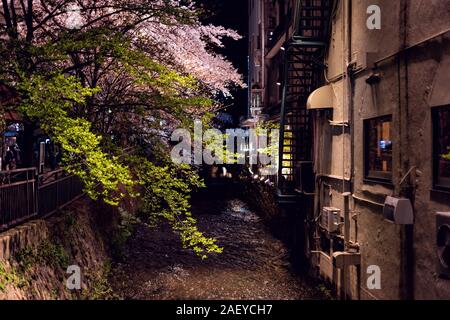 Kyoto, Japon rougeoyant lumineux fleur de cerisier sakura fleur arbres le long du canal de la rivière dans la nuit durant de Gion festival Hanami avec surface de l'eau refle Banque D'Images