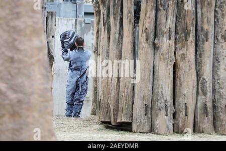 Halle, Allemagne. Dec 11, 2019. Dans l'arrière-plan de l'enceinte de l'éléphant, un homme porte un costume d'éléphant pour le baptême de la fille de l'éléphant-Septembre né à Halle Zoo. En fait, un très habillés en costume de l'éléphant devait recevoir le nom de baptême Elani, symboliquement comme le zoo avait annoncé précédemment. La raison en était que le bébé était encore très attaché à sa mère et ne devrait pas être baptisé à l'extérieur à cause de la météo. Mais le zoo a décidé de baptiser sans extras. Crédit : Jan Woitas/dpa-Zentralbild/dpa/Alamy Live News Banque D'Images