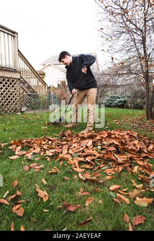 Adolescent ramasser des feuilles dans la cour sur un jour d'automne. Banque D'Images