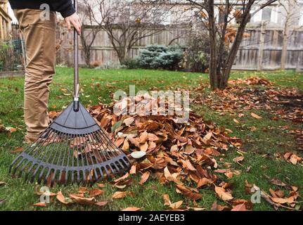 Portrait of boy ramasser des feuilles dans une cour sur un jour d'automne. Banque D'Images