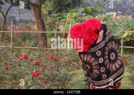 Dhaka, Bangladesh. Dec 12, 2019. Un agriculteur porte des fleurs rose à Savar, un petit village près de Dhaka.Rose production est une entreprise de l'avant en fleurs du jour de la Victoire, journée internationale de la langue maternelle et de la saison du printemps où les gens utilisent les fleurs au Bangladesh. Les agriculteurs ont augmenté à Savar sont très occupés à la préparation de ces événements. Crédit : Le Sultan Mahmud Mukut SOPA/Images/ZUMA/Alamy Fil Live News Banque D'Images