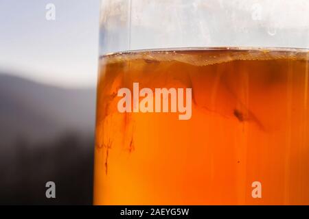 Kombucha fermenté naturel en pot de verre, boisson saine d'origine asiatique Banque D'Images