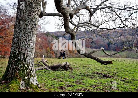 Deux femmes d'âge moyen s'asseoir sur le siège à l'échelle d'un paysage d'hiver dans les collines du Surrey à Ranmore Common près de Dorking England UK Banque D'Images