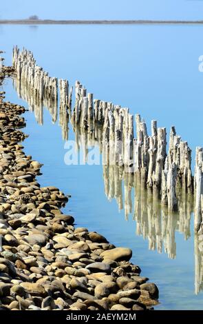 Paysage avec de vieux poteaux en bois ou piliers en bois Etang de Vaccarès ou terres humides du lac Vaccarès Camargue & Nature Reserve Provence France Banque D'Images