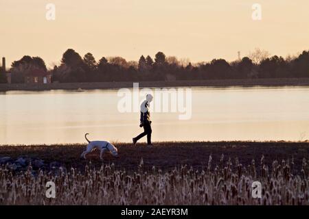 Une personne marche dame son grand chien blanc le long de la rive d'un lac dans la lumière du matin. Banque D'Images