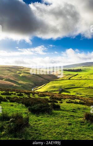 Darnbrook Moor. Yorkshire Dales National Park Banque D'Images