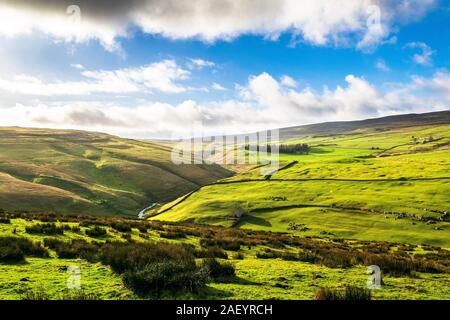 Darnbrook Moor. Yorkshire Dales National Park Banque D'Images